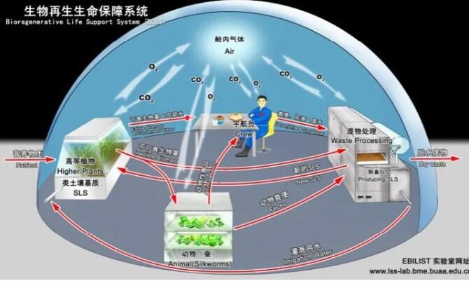 &#75;&#97;&#105;&#121;&#117;&#110;&#45;&#20013;&#22269;&#65288;&#23448;&#26041;&#32593;&#31449;&#65289;&#45;&#22269;&#23478;&#35748;&#35777;&#26381;&#21153;&#24179;&#21488;