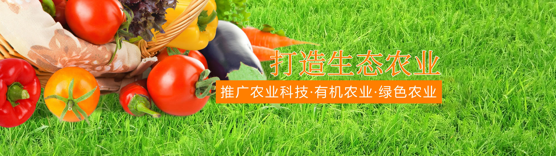 &#75;&#97;&#105;&#121;&#117;&#110;&#45;&#20013;&#22269;&#65288;&#23448;&#26041;&#32593;&#31449;&#65289;&#45;&#22269;&#23478;&#35748;&#35777;&#26381;&#21153;&#24179;&#21488;